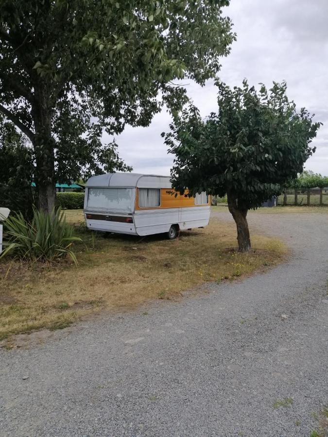 Rangiora Eco Holiday Park Fernside 外观 照片